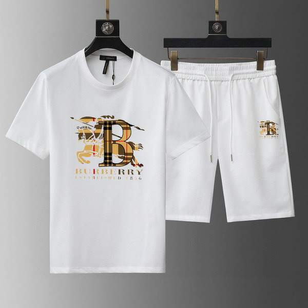 Picture of Burberry Shirt Pant Suits _SKUBurberryM-5XL13gn19620610